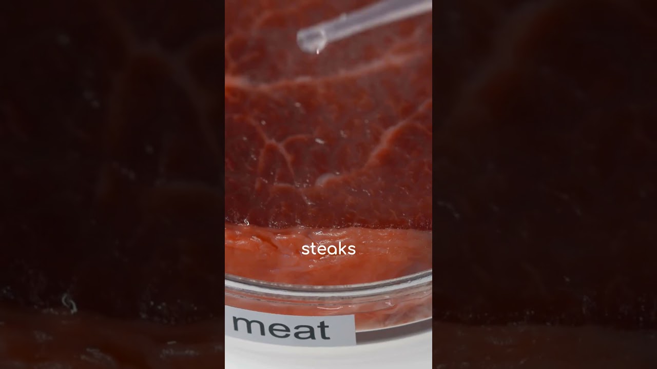 3D-Printed Steaks of the Future