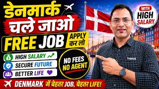Denmark's Highest Paying Jobs – Are You Qualified?