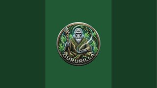 Gururilla is live