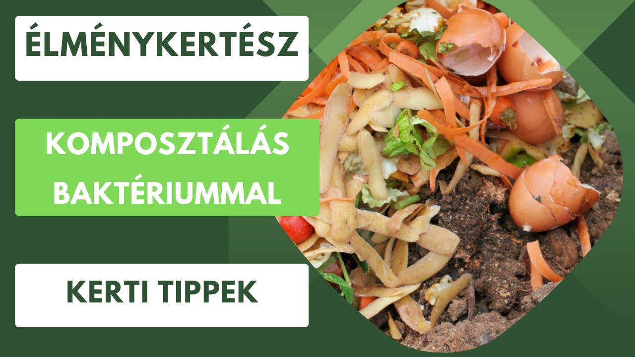 Hogyan tudjuk gyorsabban lebontani a zöldhulladékot?🪵