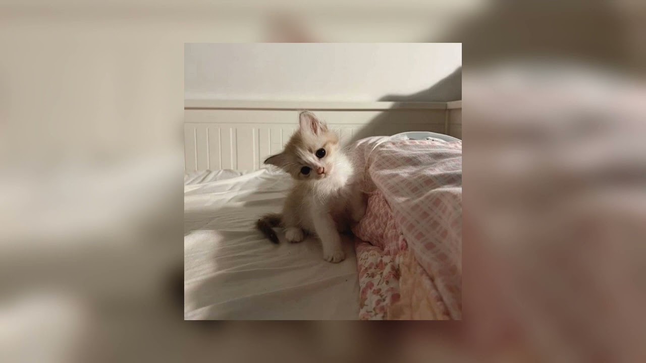 🙈музыка для флешмоба🙈//музыка из тик-тока