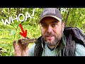 Amazingly RARE Relic found Metal Detecting PA Forest!