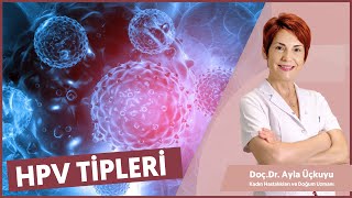 Hpv Tipleri