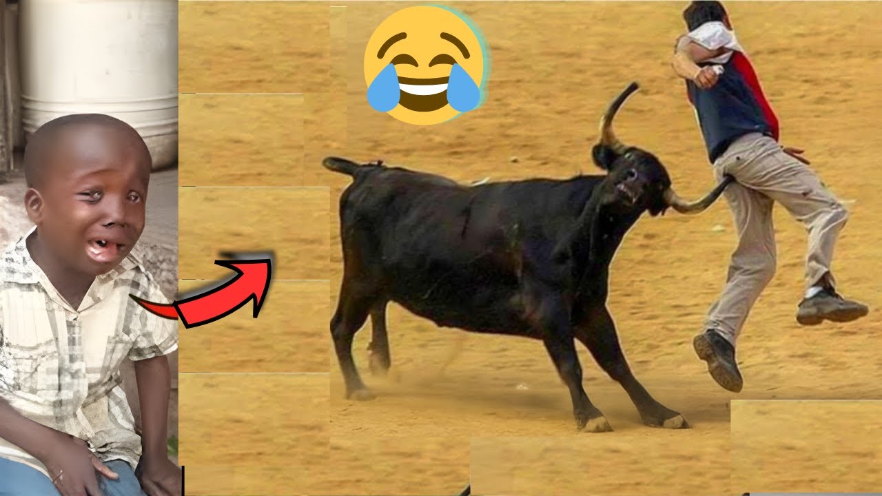 Crazy Funniest Videos Ever In The World! Try Not To Laugh 🤣