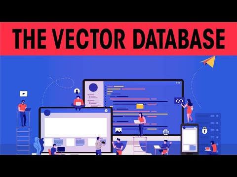 The vector database