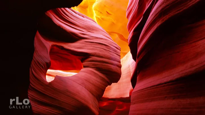 Rodney Lough Jr. - Master Photographer
