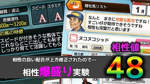 Download ダビマス 星3 ループ テンプレ Mp4 Mp3