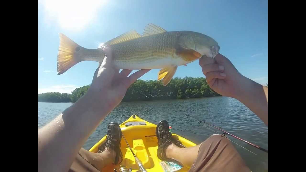 REDFISH!! caught on green spoon YouTube