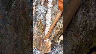 Quartz vein gleams through coarse rock chisel taps where earth hides its crystalline secrets.