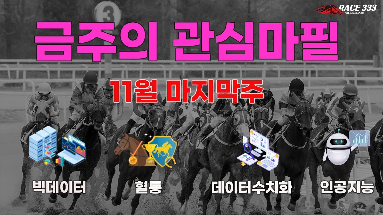 #금주의 관심마필#11월 마지막주#경마예상 #경마예상가 #경마예상지 #automobile #horse #추천경마 #이슈 #지식 #뉴스