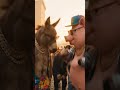 king the street #rap #singing #people #donkey #pig #street #king #gang #lash