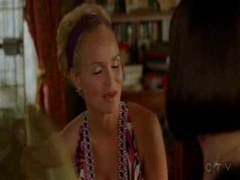 Pushing Daisies - Bird House In Your Soul