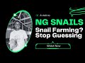 A day in the life of a snail farmer || A Guide to Snail Breeding and Growth