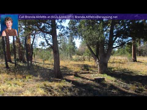 2305 Pine Crest Drive, Happy Jack, AZ home video tour