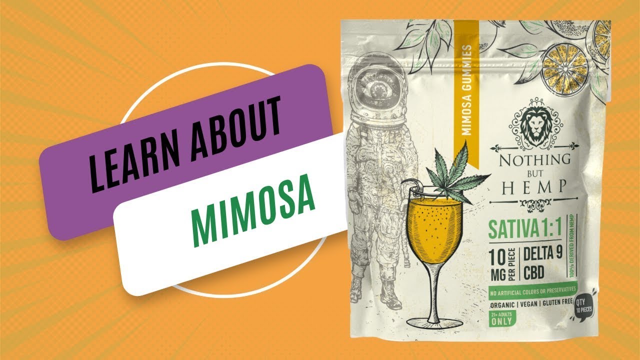 Discover Harmony with Nothing But Canna Mimosa Strain Sativa Gummies (1:1 THC | CBD)