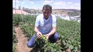 Köyüm Eski Köyüm Değil Yozgat Lök Köyü Resimi