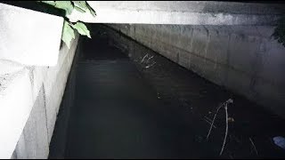 小さい用水路で釣りをしたらとんでもないことが起きた！！！【衝撃映像】