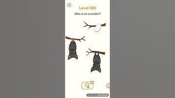 DOP 2 - Level 433 - Delete One Part by SayGames