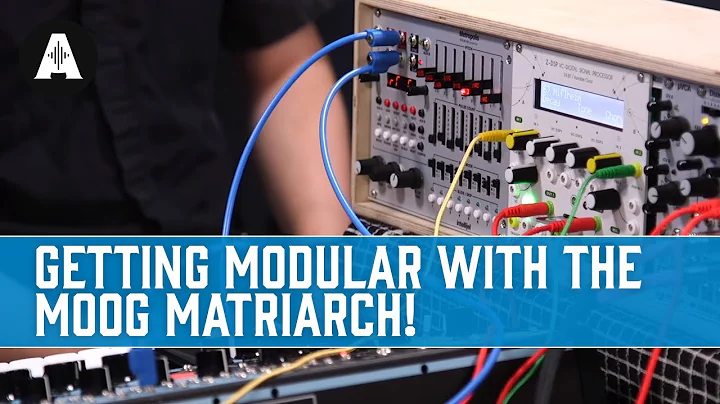 Getting Modular With the Moog Matriarch!