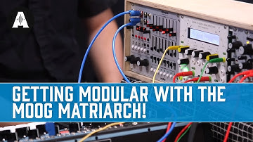 Getting Modular With the Moog Matriarch!
