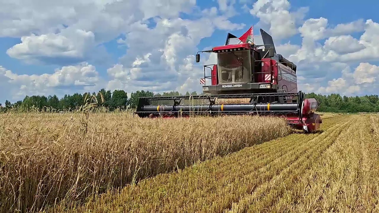 Первый выезд на уборку озимого ячменя 2025 (#1 рабочий день)