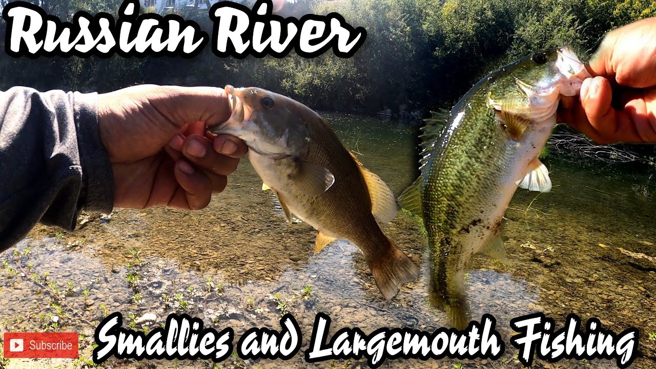 Russian River Bass Fishing [Running The Bank For Smallmouth And