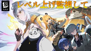 【ZZZ】インターノットレベルを上げるパンダを監視する回【ゼンレスゾーンゼロ】