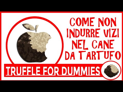 Come NON indurre VIZI DI COMPORTAMENTO nel Cane da TARTUFO