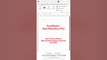 Excel Basics: How to Enter Data into Excel Cells! | Dec 2024 | Day 1, Video 4🔡 #excel #exceltutorial