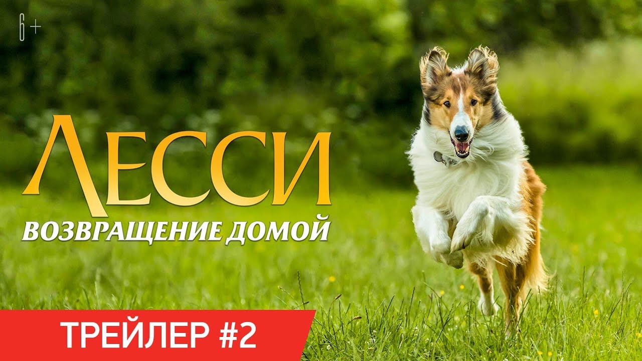 Кадр из трейлера «Лесси. Возвращение домой»