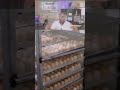 How to Hatch Chicken Eggs in 60 seconds. #broilerchicken #chicken #poultryfarm