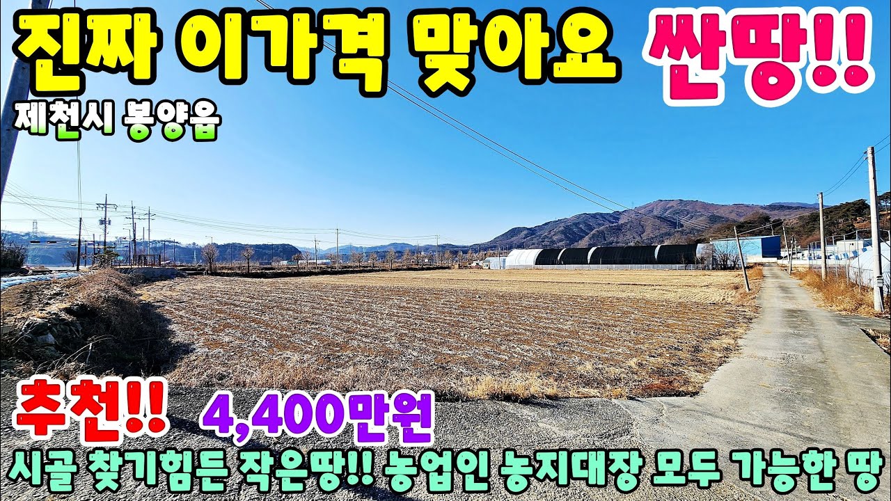 969. 반값매물 농업인 농지대장가능한 시골 소형토지 제천시 봉양읍 토지매매 땅매매 제천부동산 제천토지매매 제천전원주택매매 제천주택매매 시골집급매 촌집매매