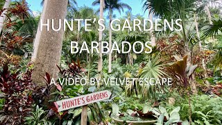A walk in Hunteβs Gardens, Barbados A walk in Hunteβs Gardens, Barbados