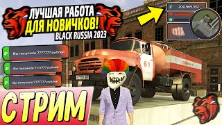 ЛУЧШИЕ РАБОТЫ ДЛЯ НОВИЧКОВ BLACK RUSSIA 2025!⚡️ИГРАЕМ И КАЙФУЕМ ВМЕСТЕ! СТРИМ БЛЕК РАША!