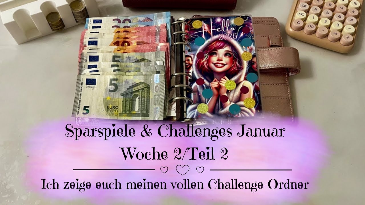 🦋Sparspiele & Challenges Januar Woche 2/Teil 2 | Ich zeige euch meinen vollen Challenge-Ordner🦋