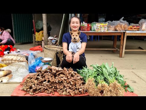 Harvest Ginger & Vegetable Garden and bring them to the market to sell | Ly Thi Tam