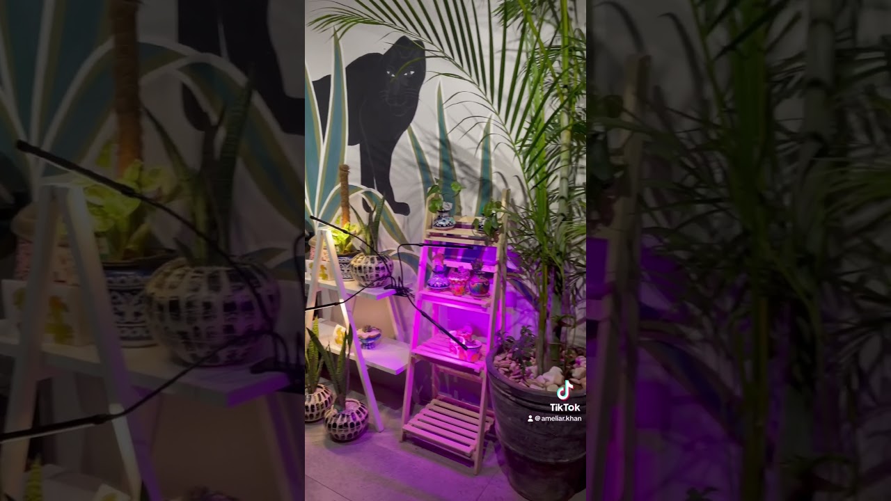 School’s out, time to feast! 🍔🍕 