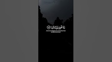 محمد صديق المنشاوي | #سورة_الشعراء #قرآن #القرآن_الكريم #قران_كريم #quran