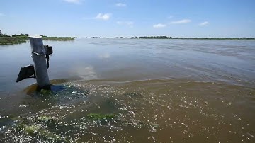 trlcam 984498 v1 1080p