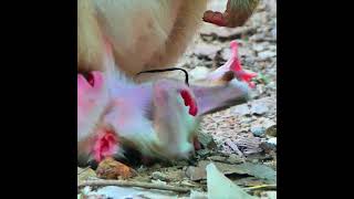 My Video 14
