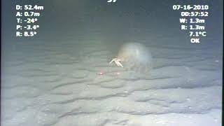 PT.ARENA_ROV_NCCB_20100715_D106_PA04_FWD_T1