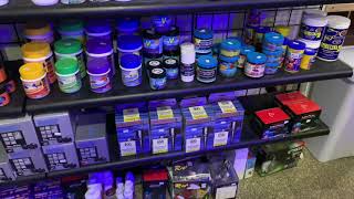 My Experience At Elegant Reef Studio In San Antonio! (Check Descrpition for more info)