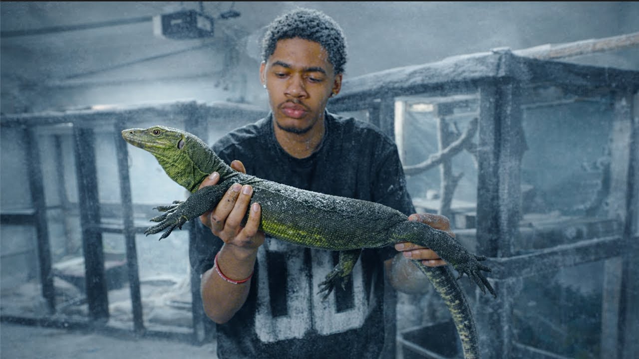 В МОЕМ ЗООПАРКЕ ОПЯТЬ НАШЛА ЗИМНЯЯ БУРЯ. | ГОТОВЛЮ СВОИХ ЗАМЕРЗШИХ РЕПТИЛИЙ В КОРЗИНУ!!