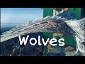 Wolves  cinematic  the memories  our future