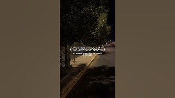 كذبت قوم نوح المرسلين | القارئ أبو بكر الشاطري