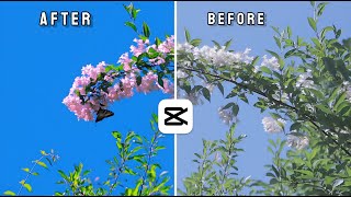 How To Get Pink Tone On Flowers by Using CapCut Graphics 🤯 ! screenshot 5