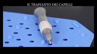 Flavio Grasso-41