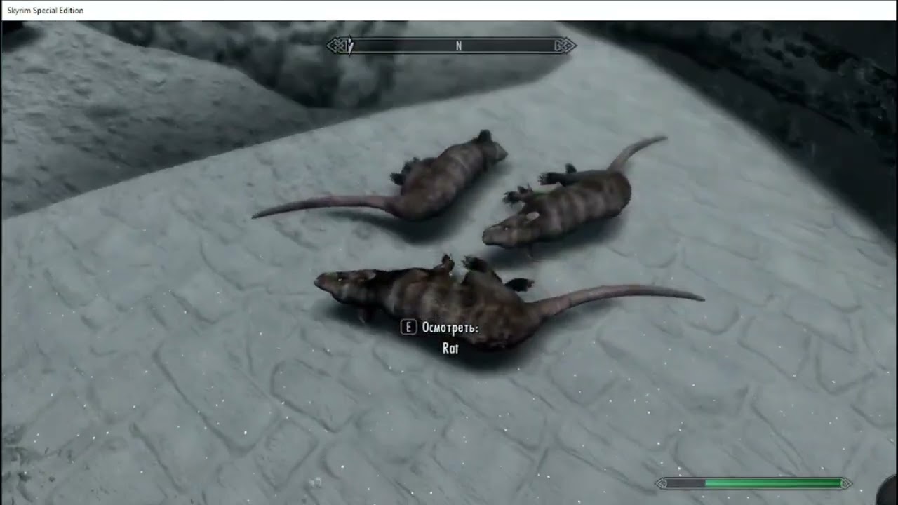 #1 Прохождение [MOD] Skyrim Beyond Bruma Инспектор вернулся