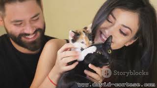 The Ultimate Cat Guide: Purrfect Tips!
