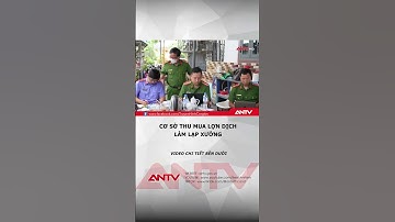 Phát hiện cơ sở thu mua lợn dịch làm thực phẩm bán ra thị trường #antv #shorts #tintuc